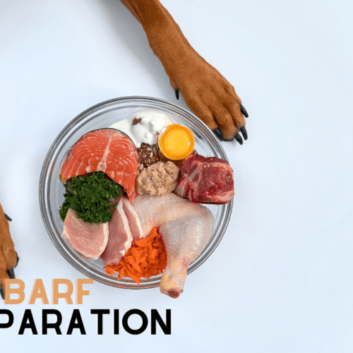Toppers para perro, la moda del «Plate preparation» canino
